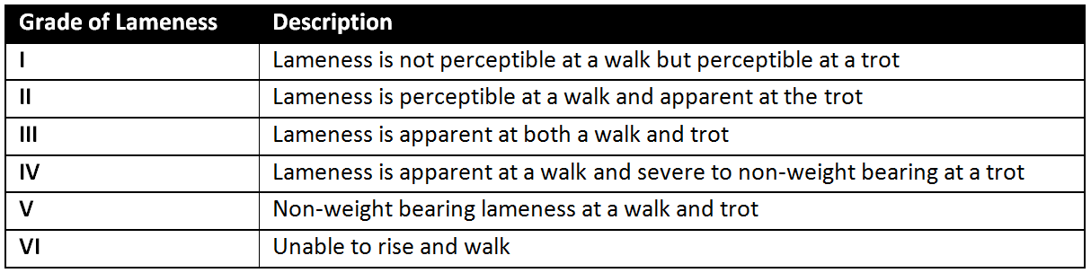 table of knowledge with Injuries Achilles of Tendon from Evaluation Findings