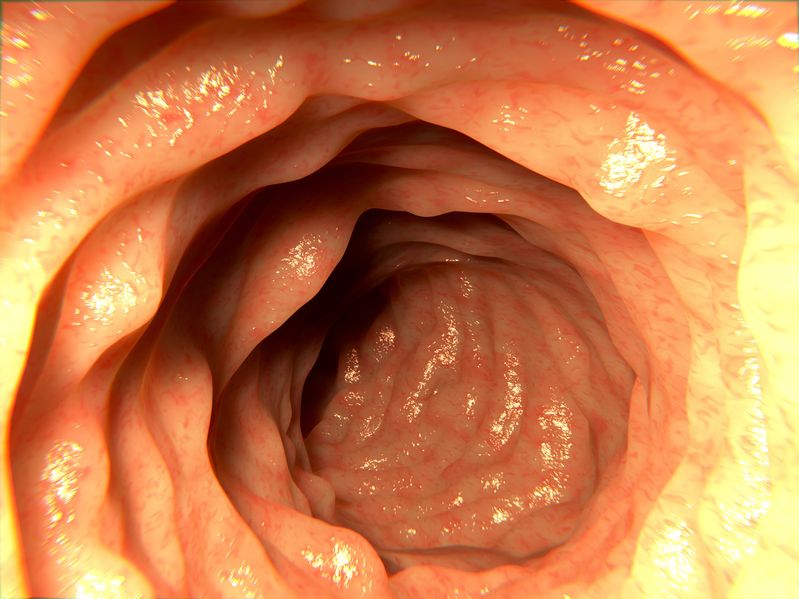 colon